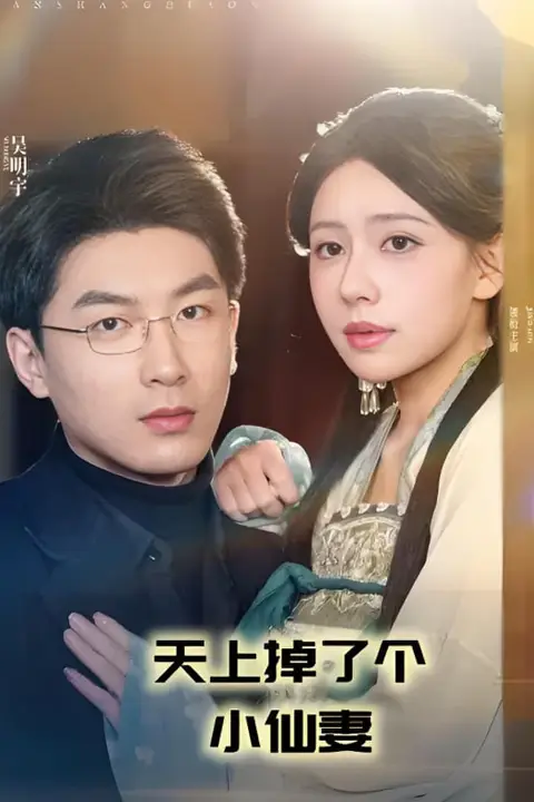 《天上掉了个小仙妻》封面