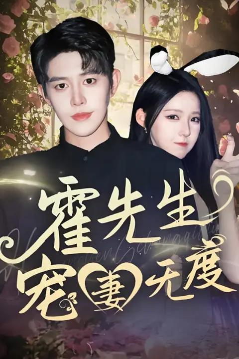 《霍先生宠妻无度》封面