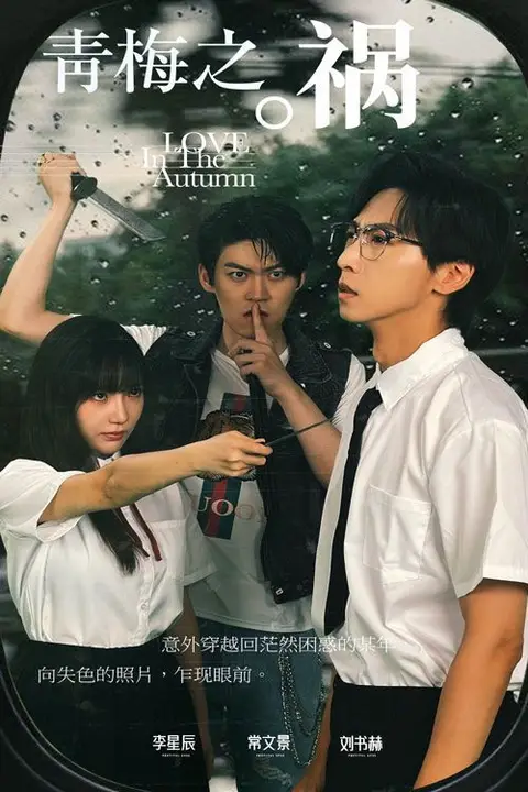 《青梅之祸》封面