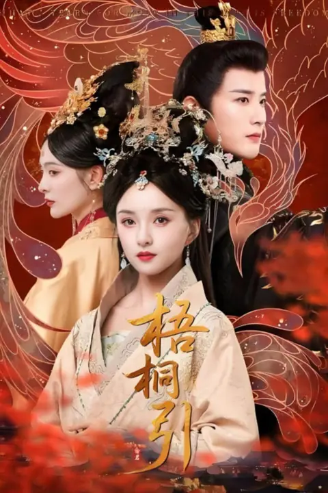 《梧桐引》封面