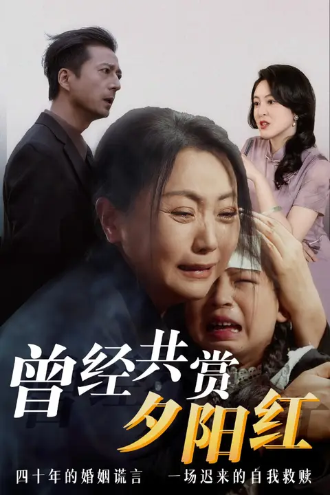 《曾经共赏夕阳红》封面
