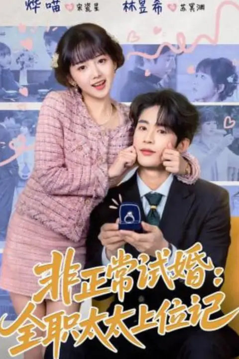 《非正常试婚：全职太太上位记》封面