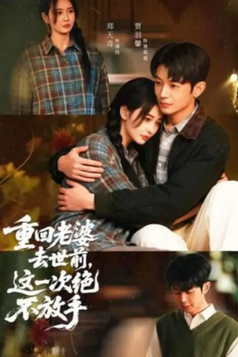 《重回老婆去世前,这一次绝不放手》封面