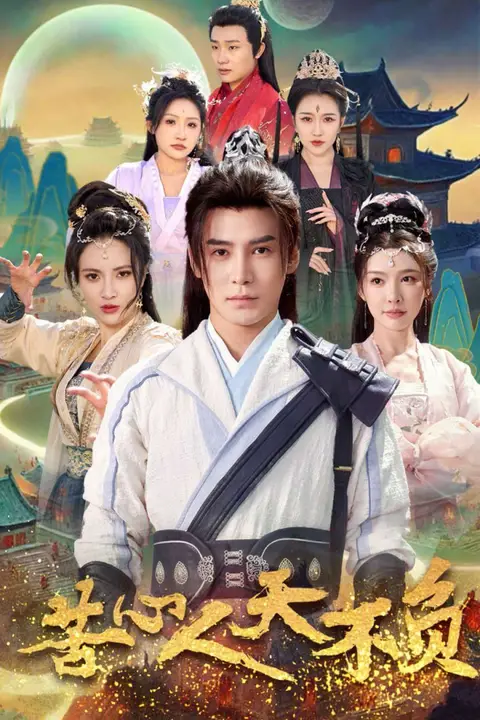 《苦心人天不负》封面