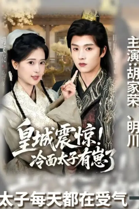 《皇城震惊冷面太子有崽了》封面