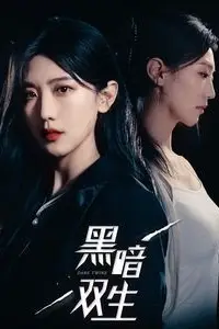 《黑暗双生》封面
