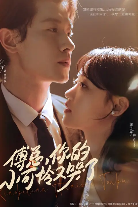 《傅总你的小可怜又哭了》封面