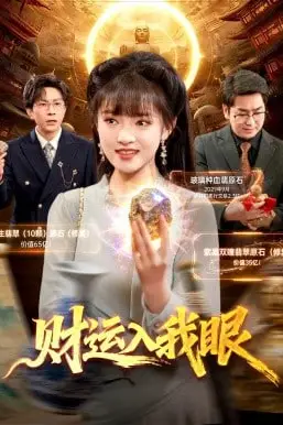 《财运入我眼》封面