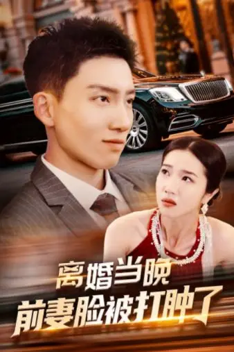 《离婚当晚前妻脸被打肿了》封面
