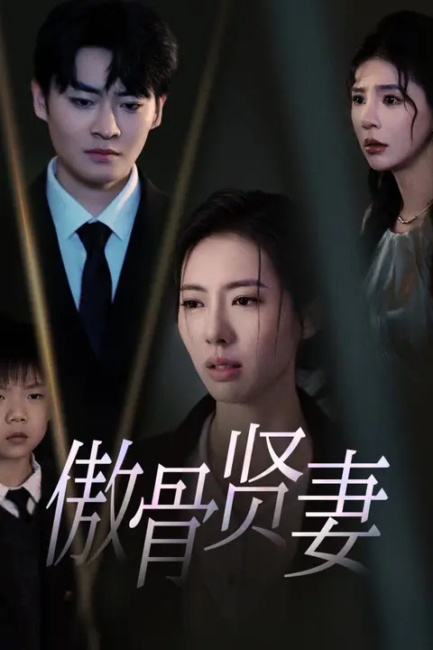 《傲骨贤妻》封面