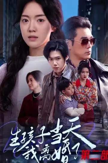 《生孩子当天我离婚了第二部》封面