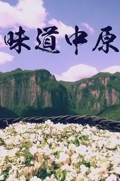 《味道中原》封面