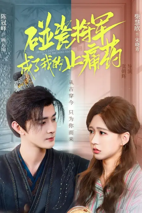 《碰瓷将军成了我的止痛药》封面