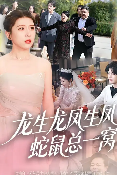 《龙生龙凤生凤,蛇鼠总一窝》封面