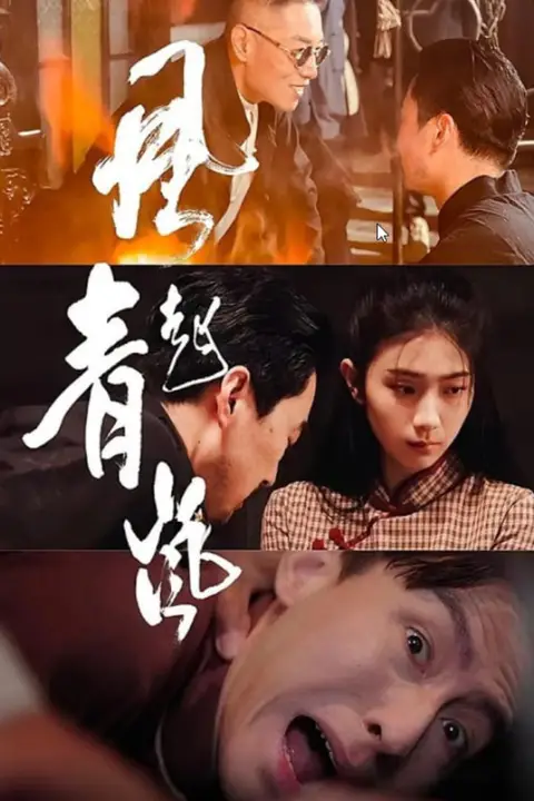 《风起青岚》封面
