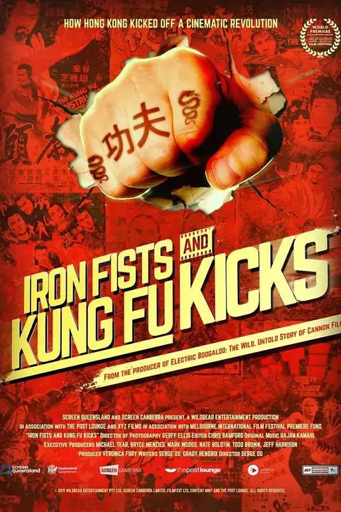 《铁拳飞脚真功夫》封面