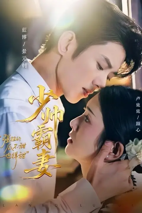 《少帅霸妻，强扭的瓜不甜也得甜》封面