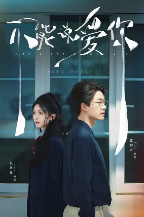 《不能说爱你》封面