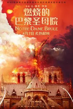 《燃烧的巴黎圣母院》封面