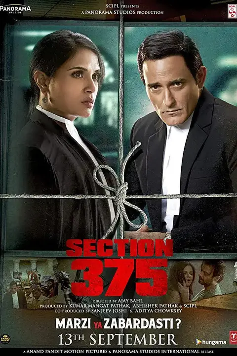 《刑法典第375条》封面