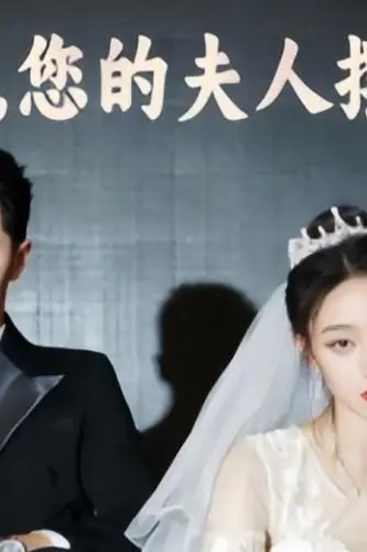《顾少,您的夫人摆烂了》封面