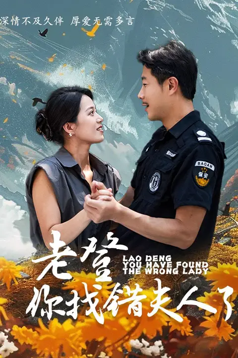 《老登你找错夫人了》封面