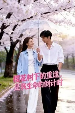 《樱花树下的重逢，是我生命的倒计时》封面