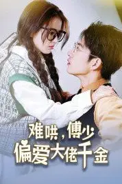《傅总，太太马甲又被曝光了（难哄，傅少偏爱大佬千金）》封面