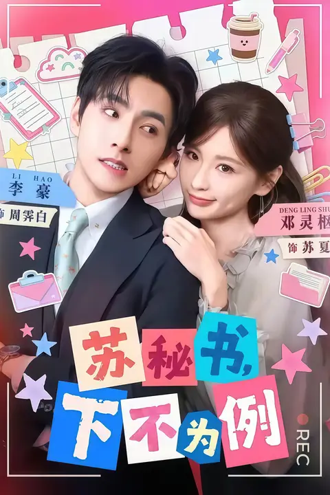 《苏秘书，下不为例》封面