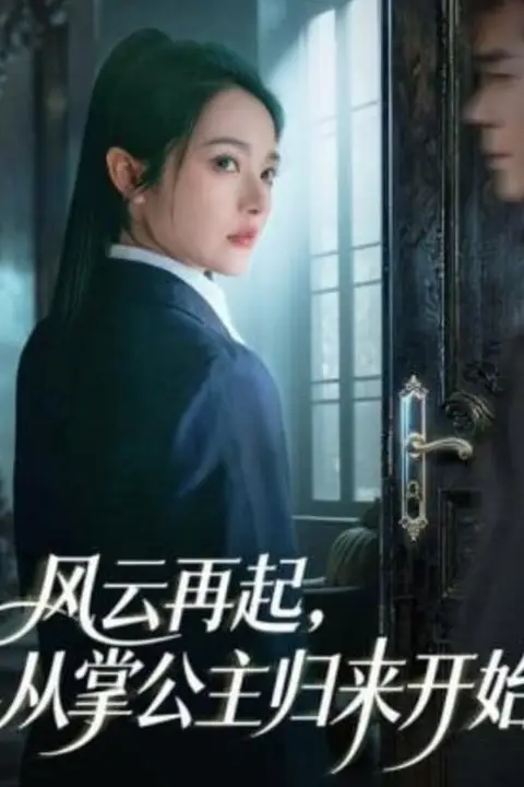 《风云再起，从掌公主归来开始》封面