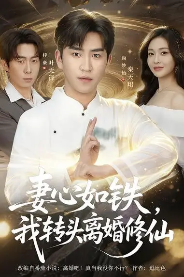 《妻心如铁我转头离婚修仙》封面