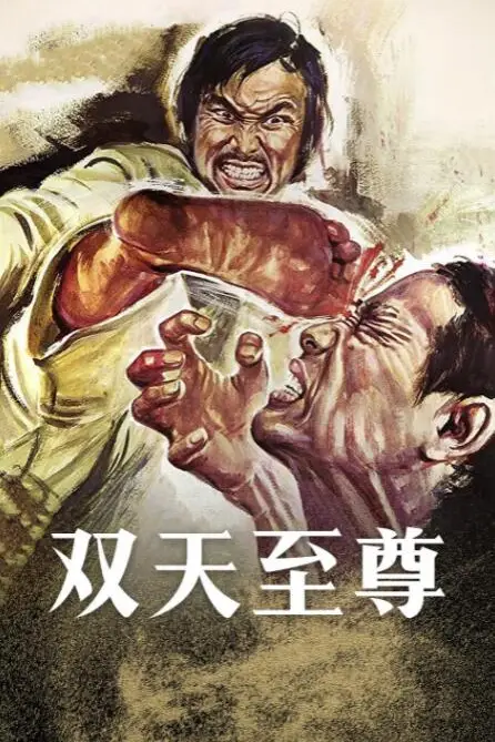 《双天至尊》封面