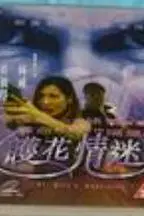 《护花情迷》封面