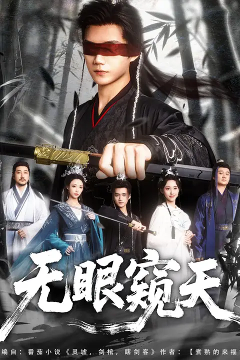 《无眼窥天》封面