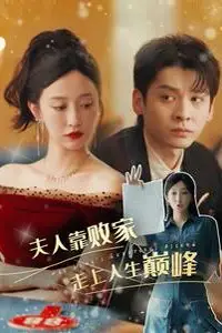 《夫人靠败家走上人生巅峰》封面