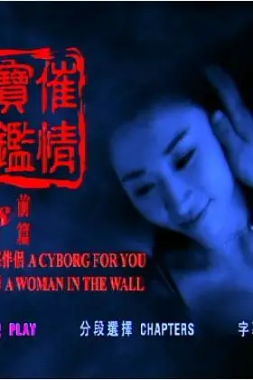 《催情宝鉴之性癖》封面