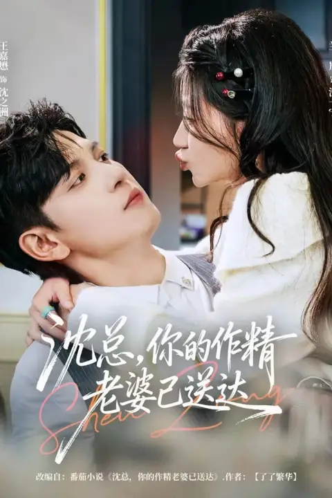 《沈总,你的作精老婆已送达》封面