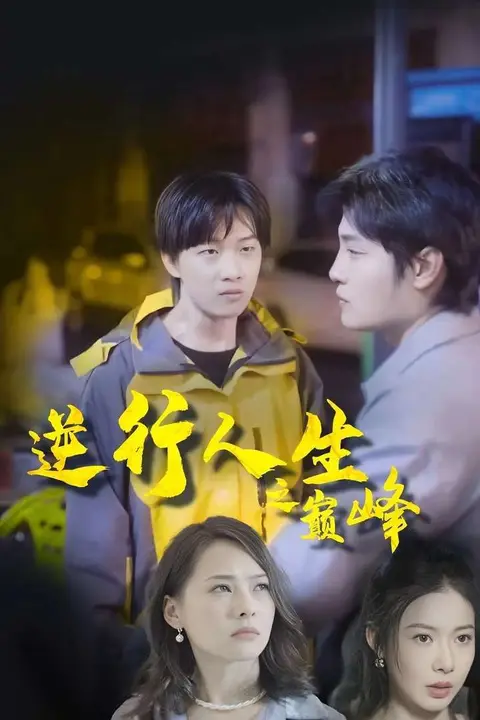 《逆袭人生之巅峰》封面