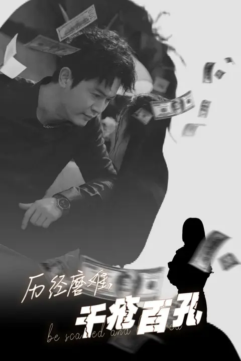 《历尽磨难的爱千疮百孔》封面