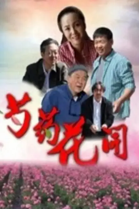 《芍药花开》封面