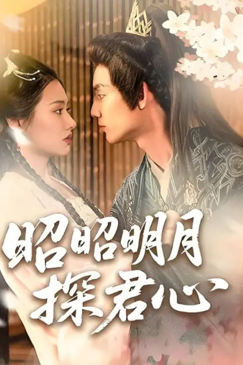 《昭昭明月探君心》封面
