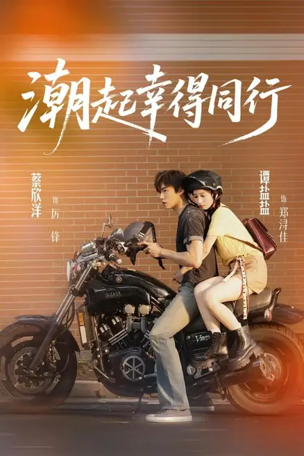 《潮起幸得同行》封面