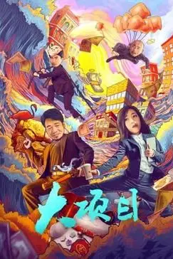 《大项目》封面