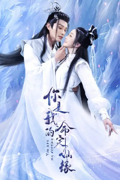《你是我的命定仙缘》封面