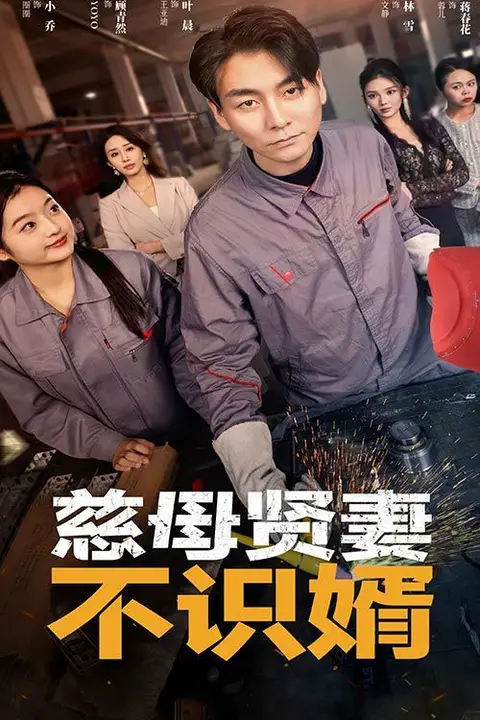 《慈母贤妻不识婿》封面