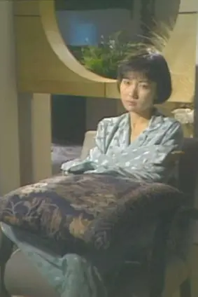 《帝女情未了》封面
