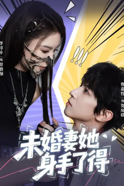 《未婚妻她身手了得》封面