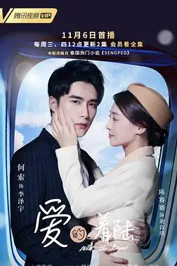 《爱的着陆》封面