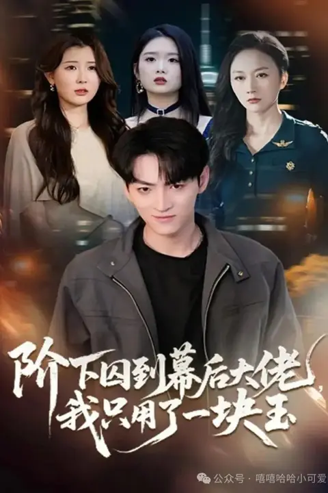 《阶下囚到幕后大佬》封面