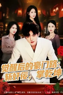 《觉醒后的豪门路:斩奸佞掌乾坤》封面